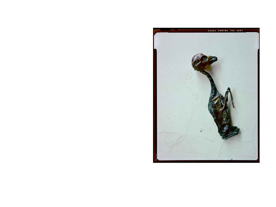 Materia-Prima-Book-03