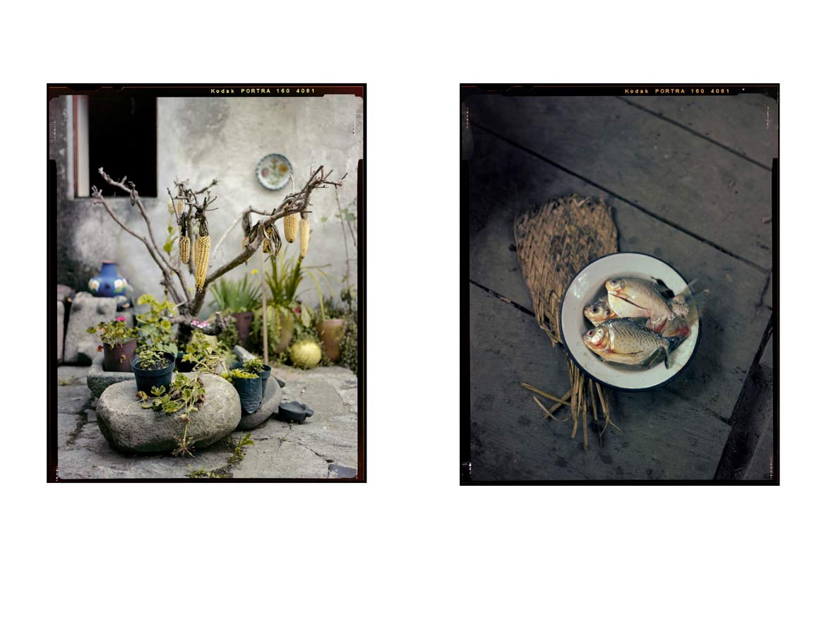 Materia-Prima-Book-10